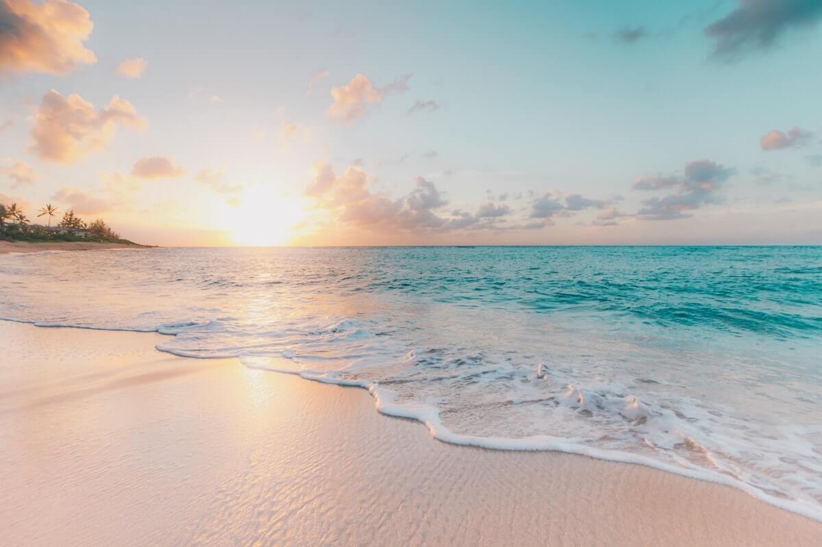 Lavida Resort coastline and tropical grounds